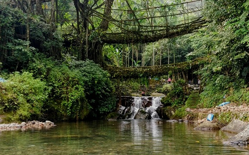 Things to Do in Meghalaya