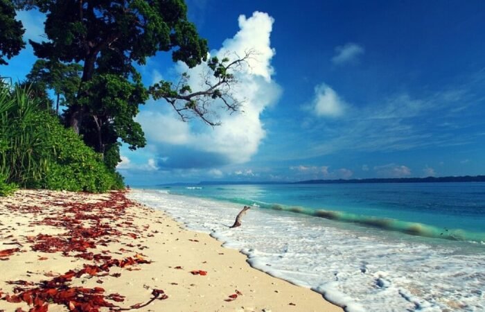Andaman Island Tour Packages