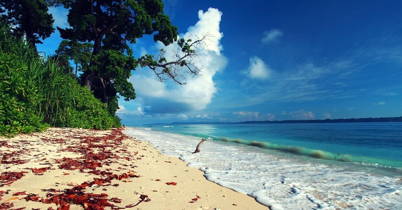 Andaman Island Tour Packages
