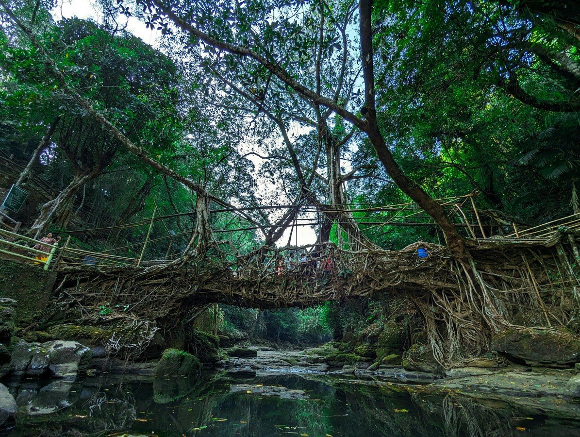 Cherrapunjee-The Land of Living Root Bridges and Waterfalls-Banner