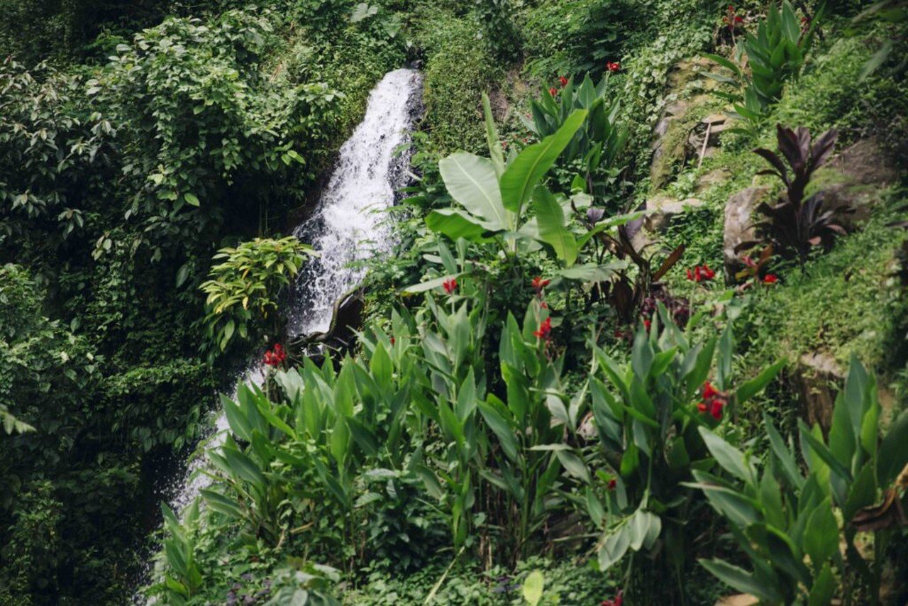 Waterfalls in Bali