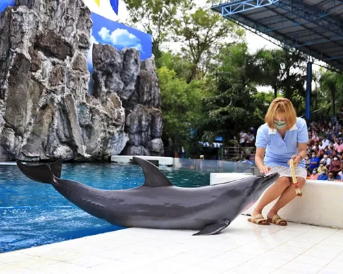 Marine park thailand