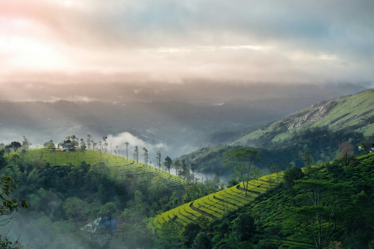 Munnar Tour Packages