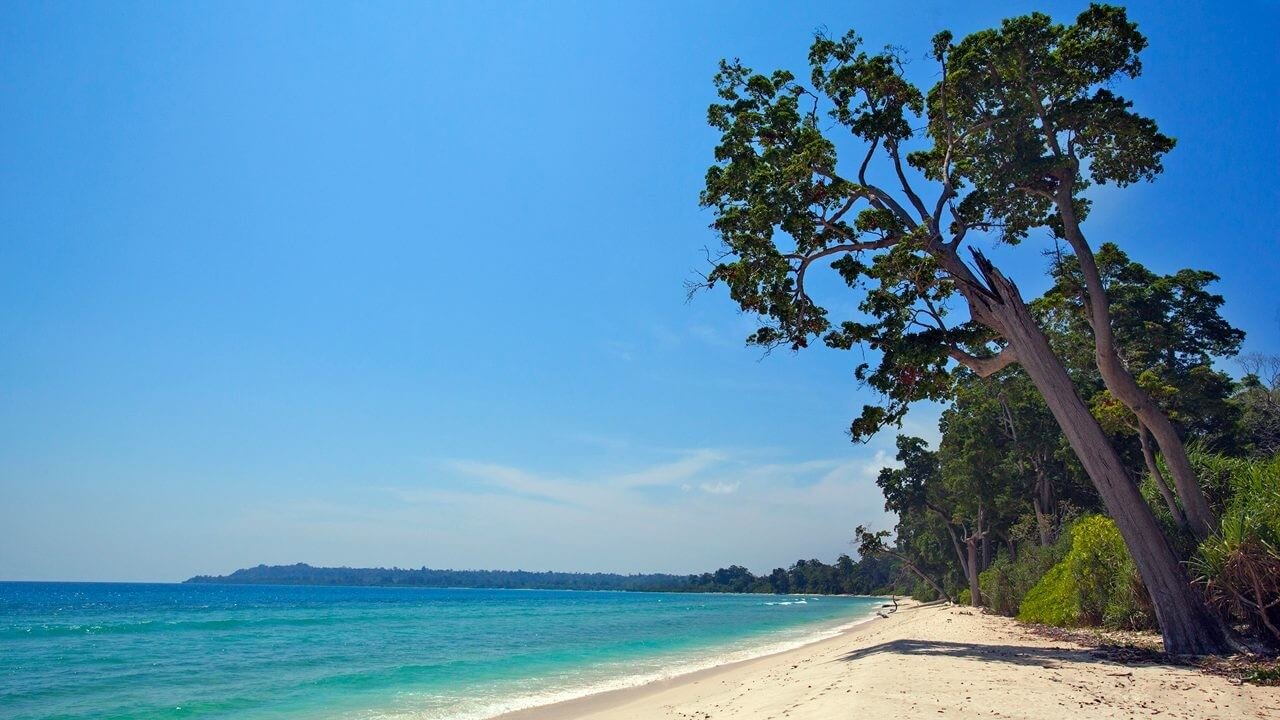 Neil Island Andaman Tour Packages