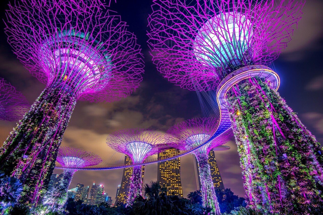 Gardens by the Bay - Singapore Tour Packages