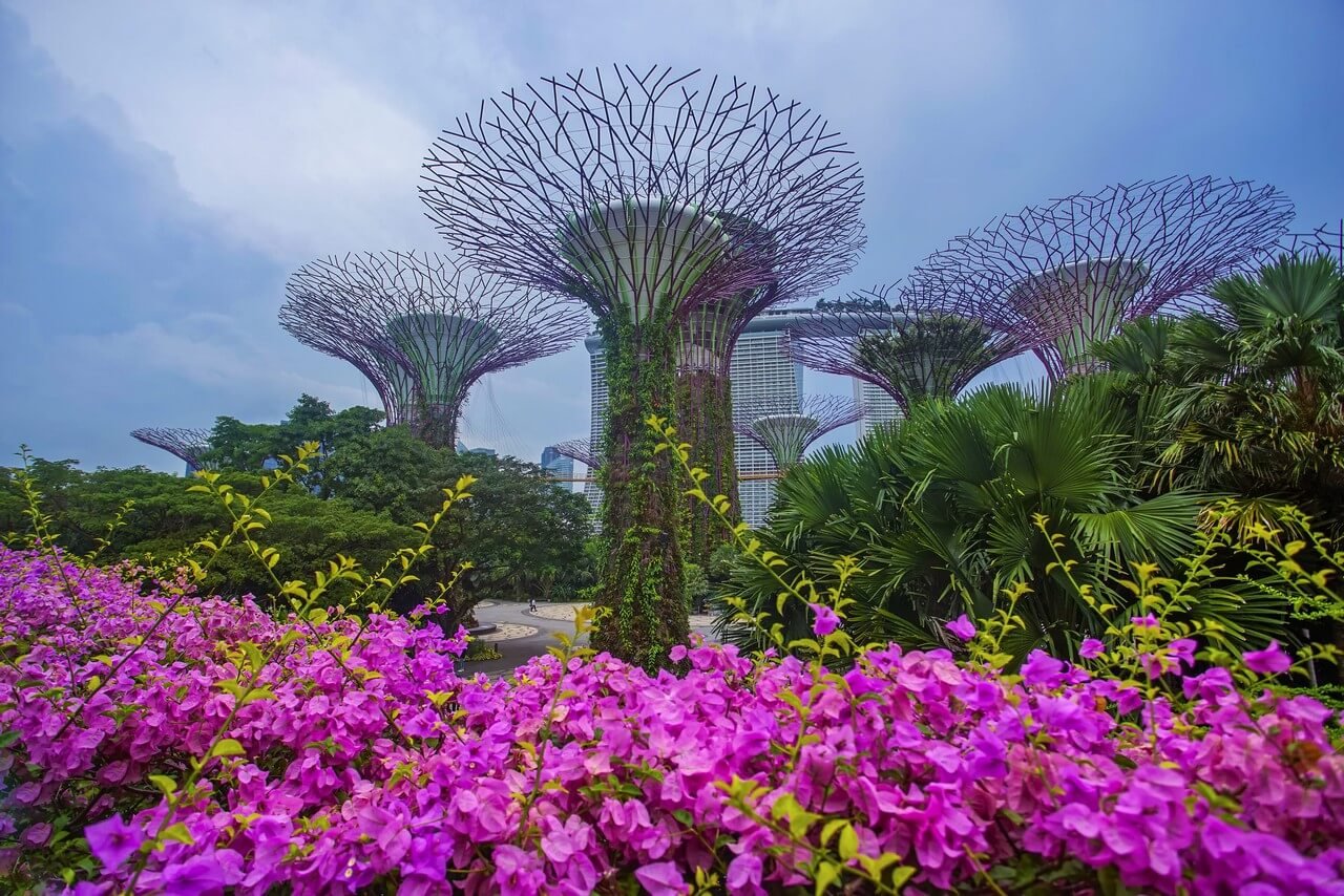 Gardens by the Bay - Singapore Tour Packages