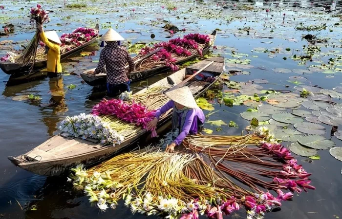 Vietnam Floating Market Tour