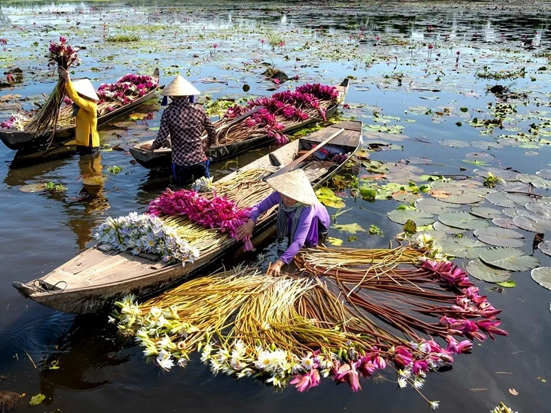 Vietnam Floating Market Tour