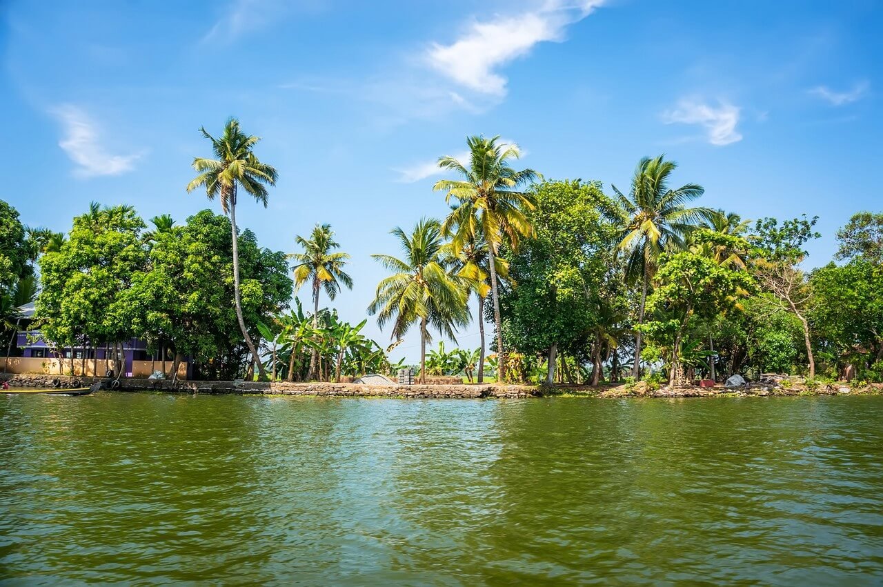 jungle-kerala-backwaters-chain-brackish-lagoons-lakes-lying-parallel-arabian-sea-coast-kerala-southern-india-Kerala Backwaters Travel Guide
